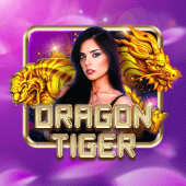 Dragon Tiger live casino on betso88 sign up